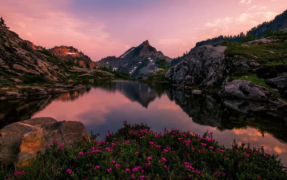 A still alpine lake at sunset, a snow-streaked peak reflected in the water behind pink wildflowers