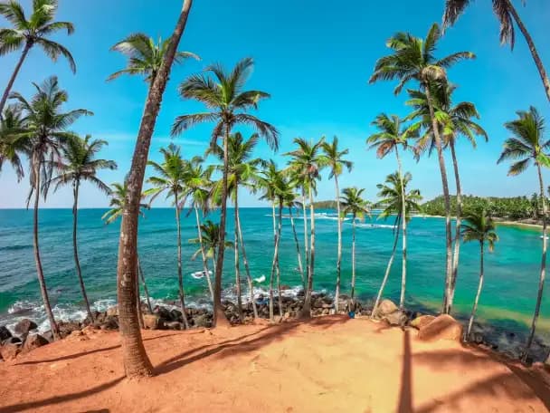 Sri Lanka - from ₹45,000