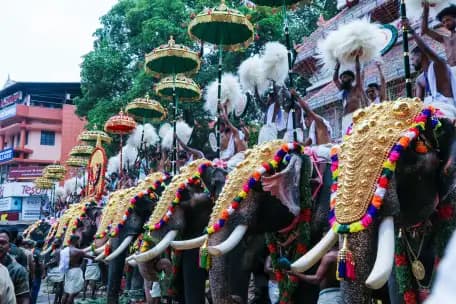 6. Thrissur Pooram, Kerala