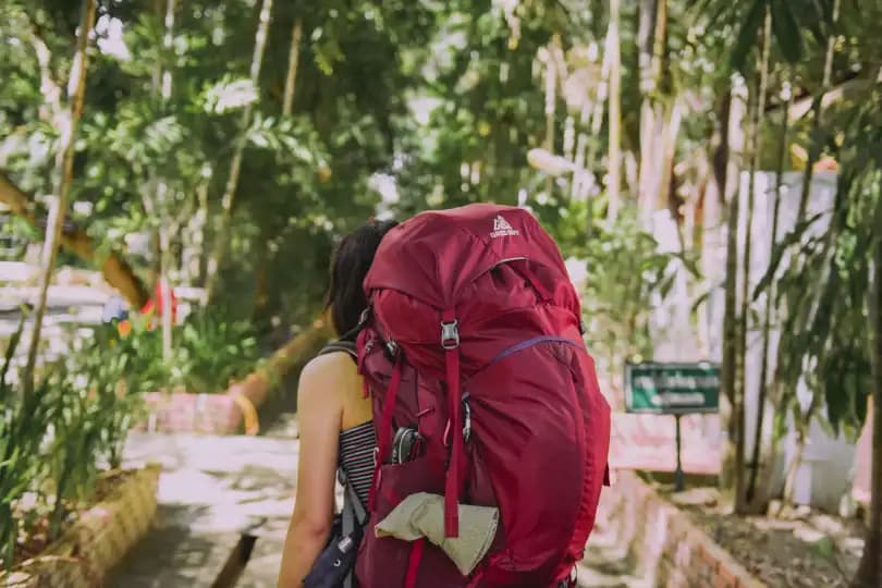 The 70L "Travel Backpack" with 47 Compartments