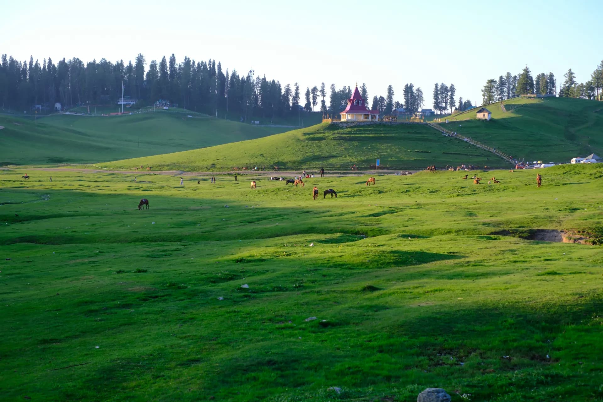 Gulmarg meadows with snow-capped peaks