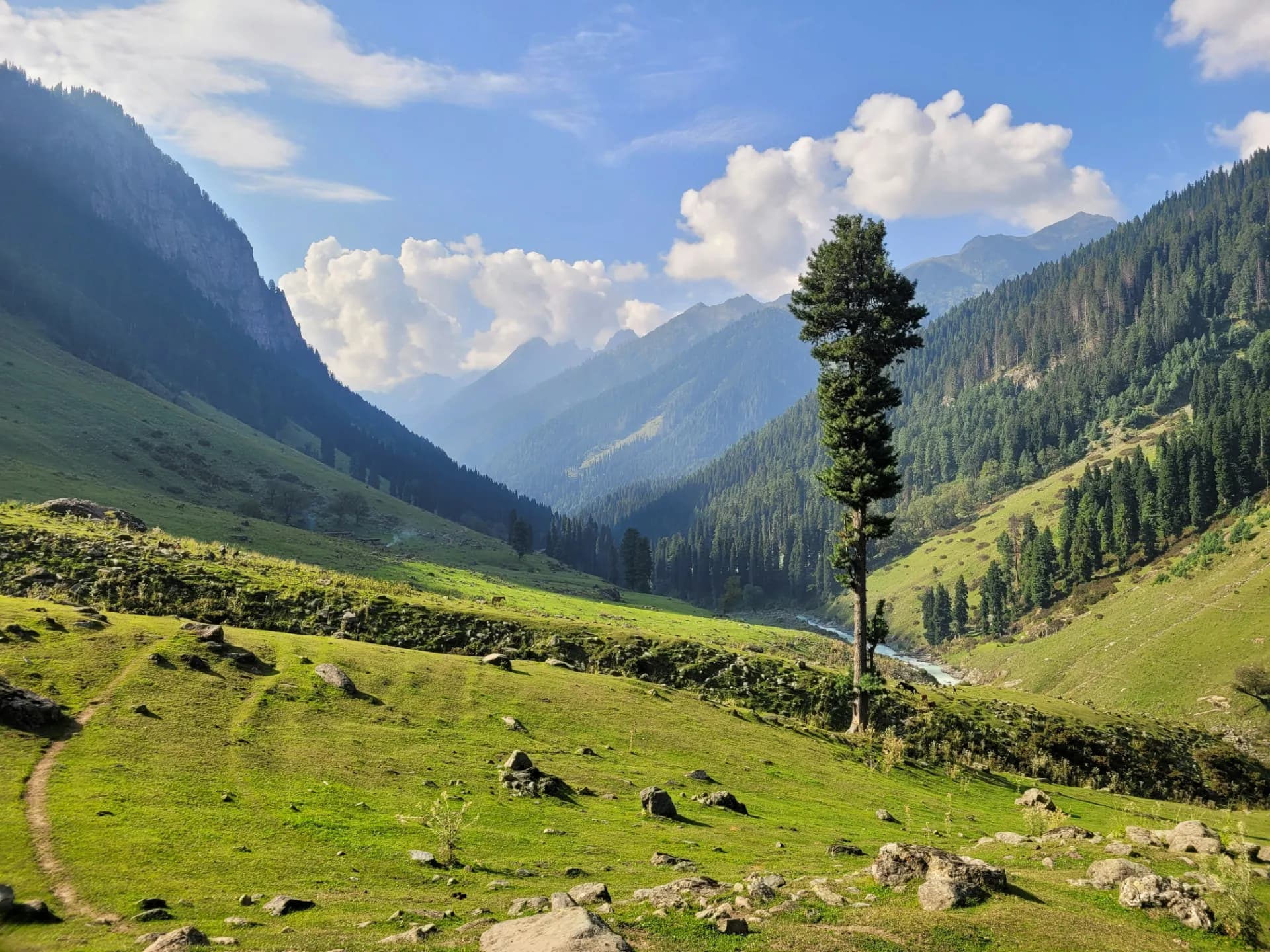 Aru Valley near Pahalgam
