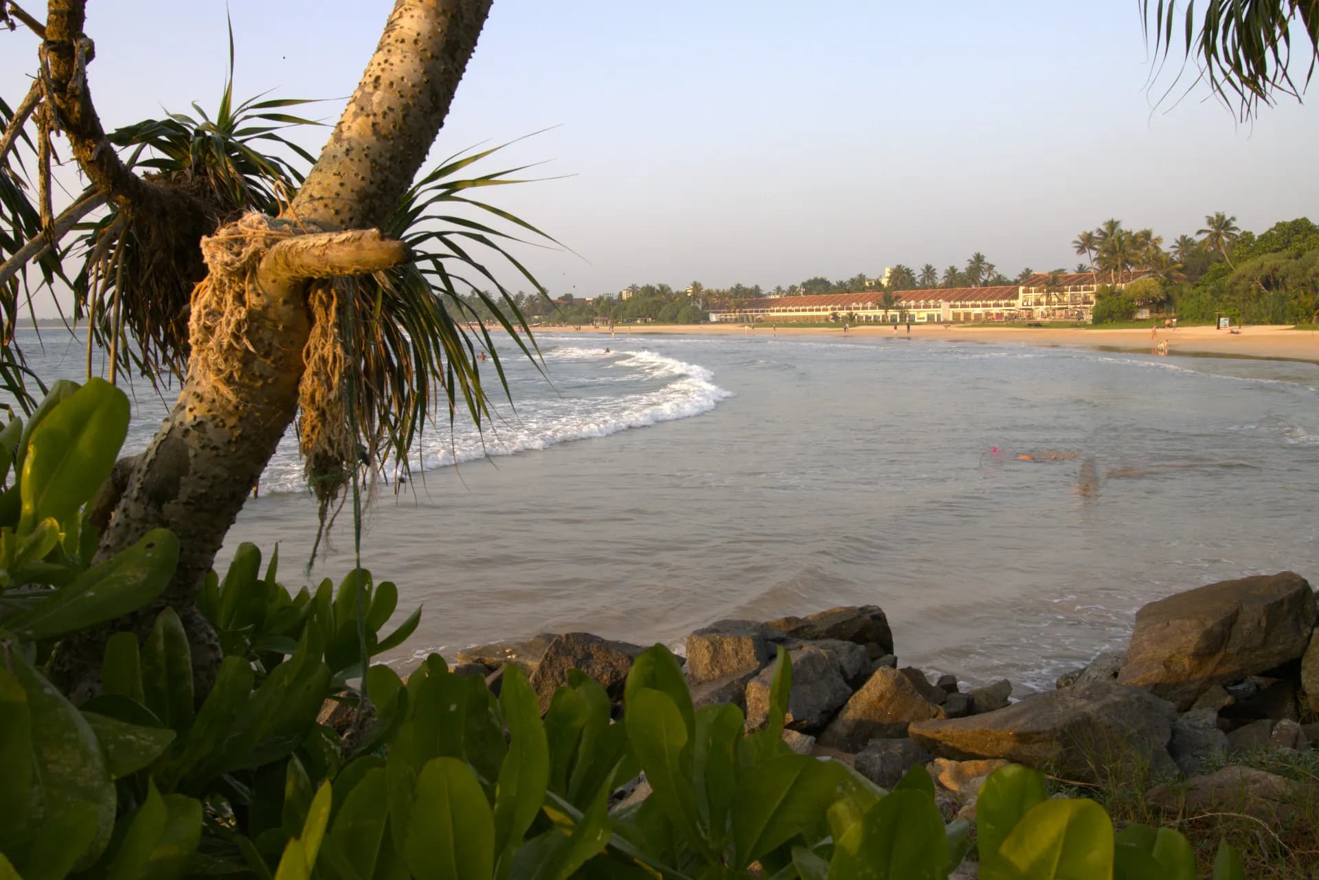 Bentota beach and Madu River safari