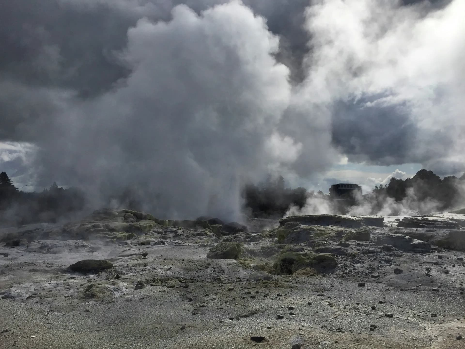 Rotorua geothermal park