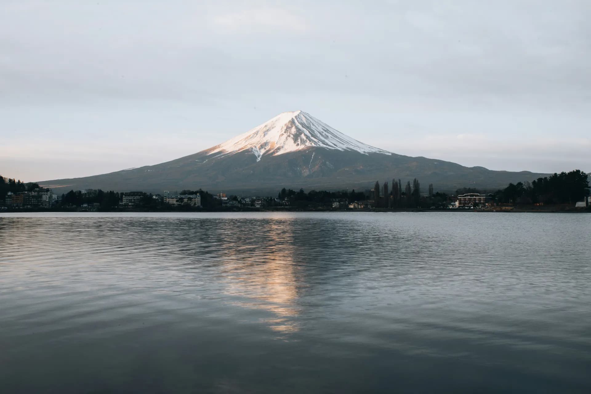 Mount Fuji cherry blossom