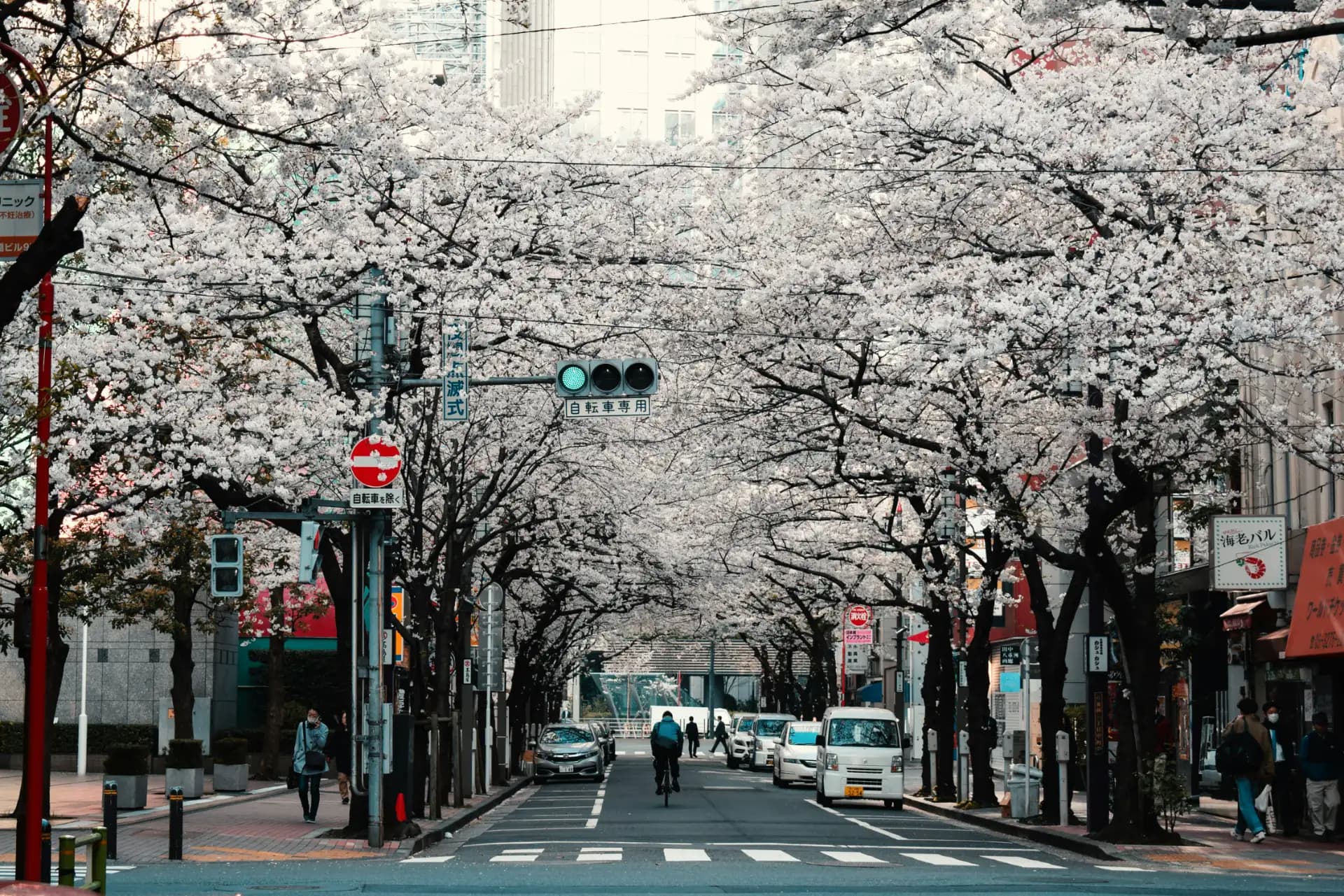 Tokyo autumn