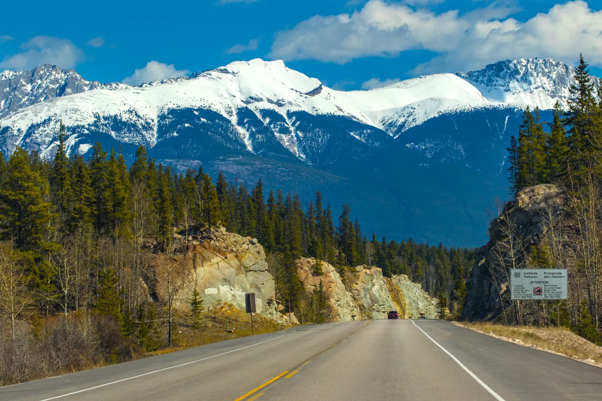 Icefields & Jasper