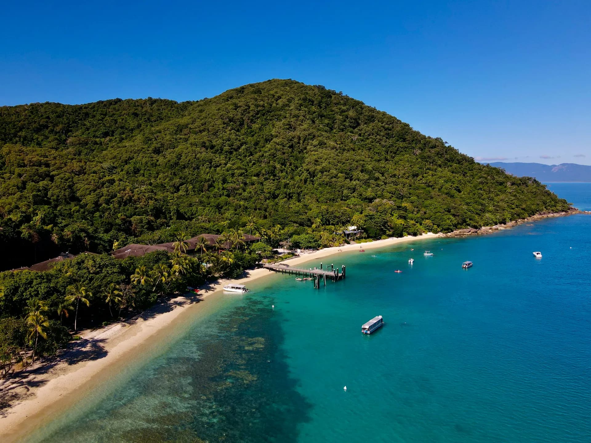 Cairns Reef