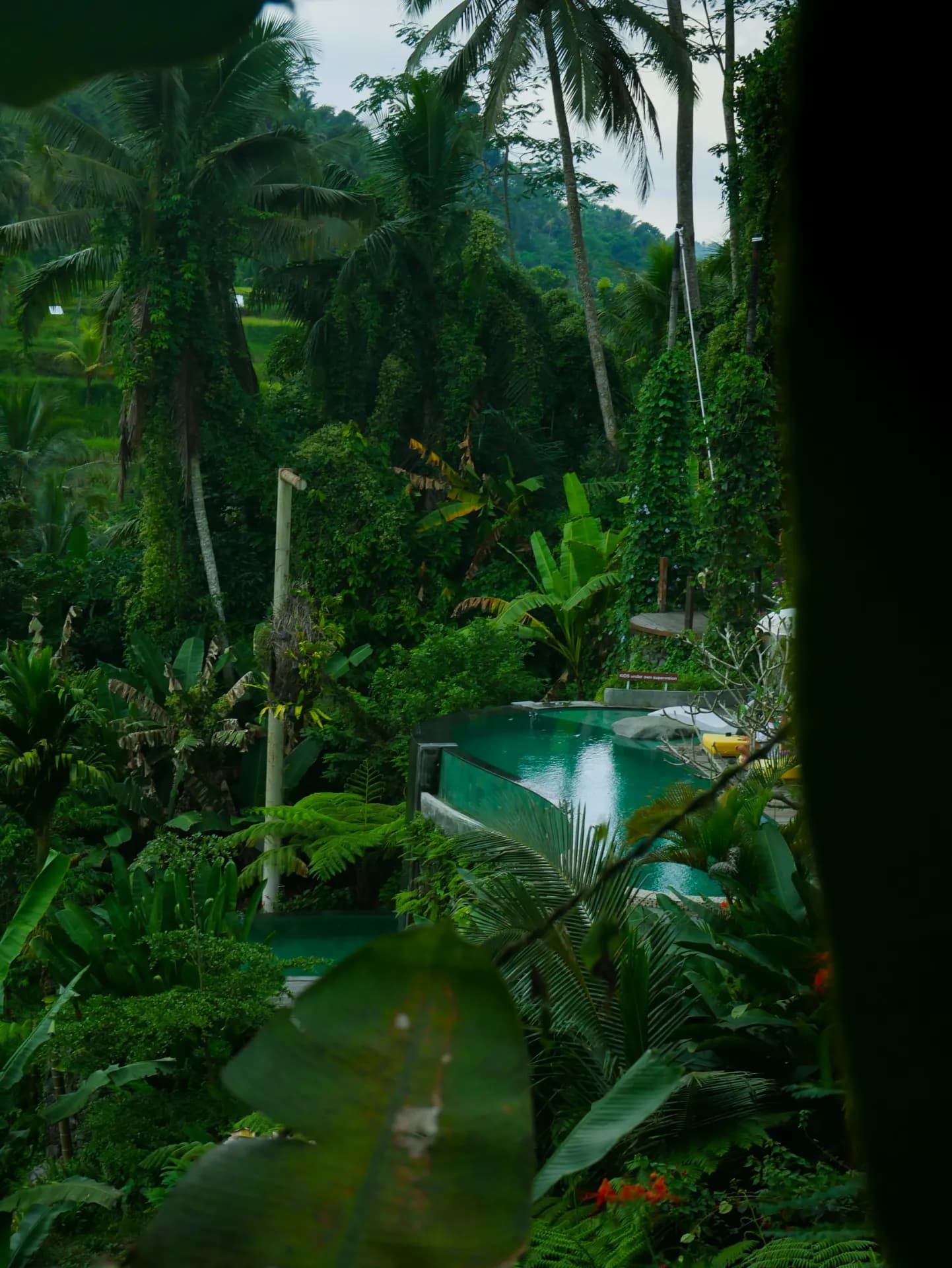 Ubud pool villa