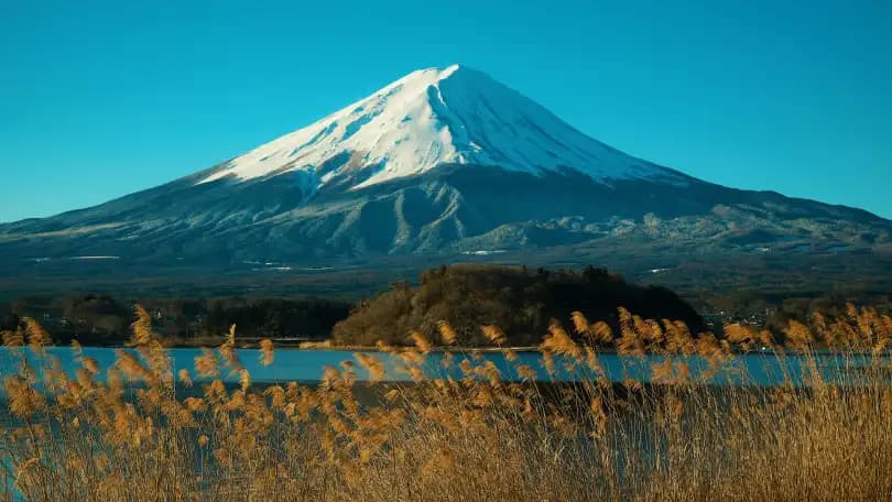 fuji