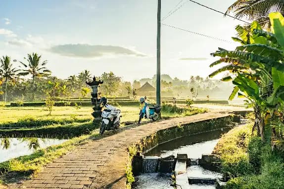 How to Get Around Bali : Scooter Rental vs Grab vs Private Driver Field Guide
