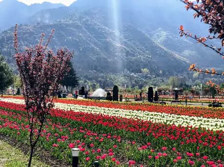 Kashmir Travel Logistics, Security, Cabs & Union Rules