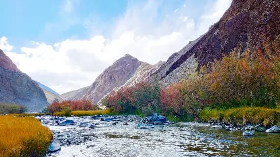 Where to Stay in Kashmir: Houseboats vs Resorts vs Lodges