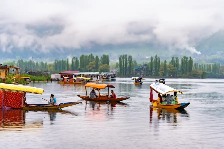 Dal Lake & Nigeen Lake Shikara Rides