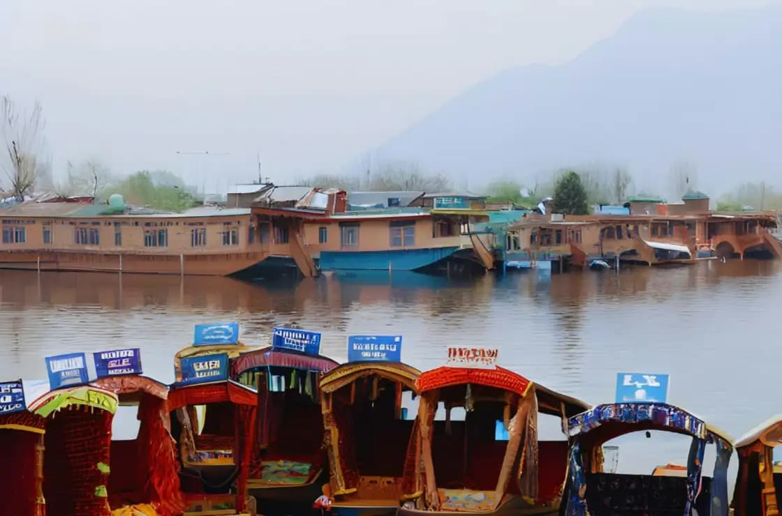 Srinagar City Hotels