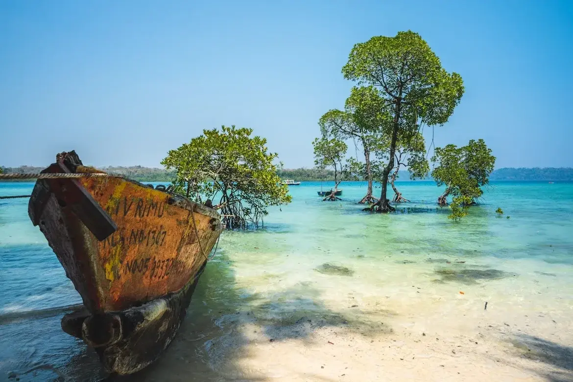 Discover Tropical Andaman: Havelock Beaches, Scuba & Tailored Trips