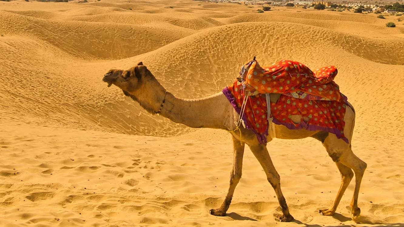 Rajasthan travel guide