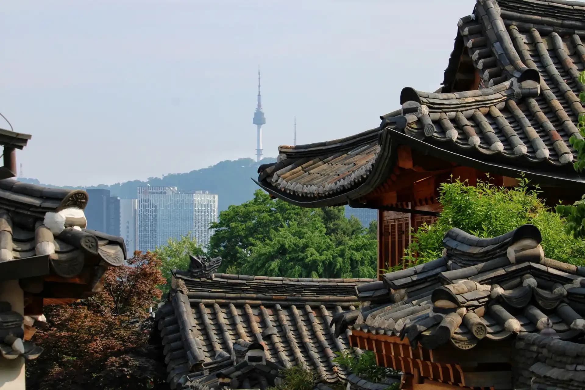 Explore Dynamic South Korea: Seoul Palaces, K-Culture & Custom Tours
