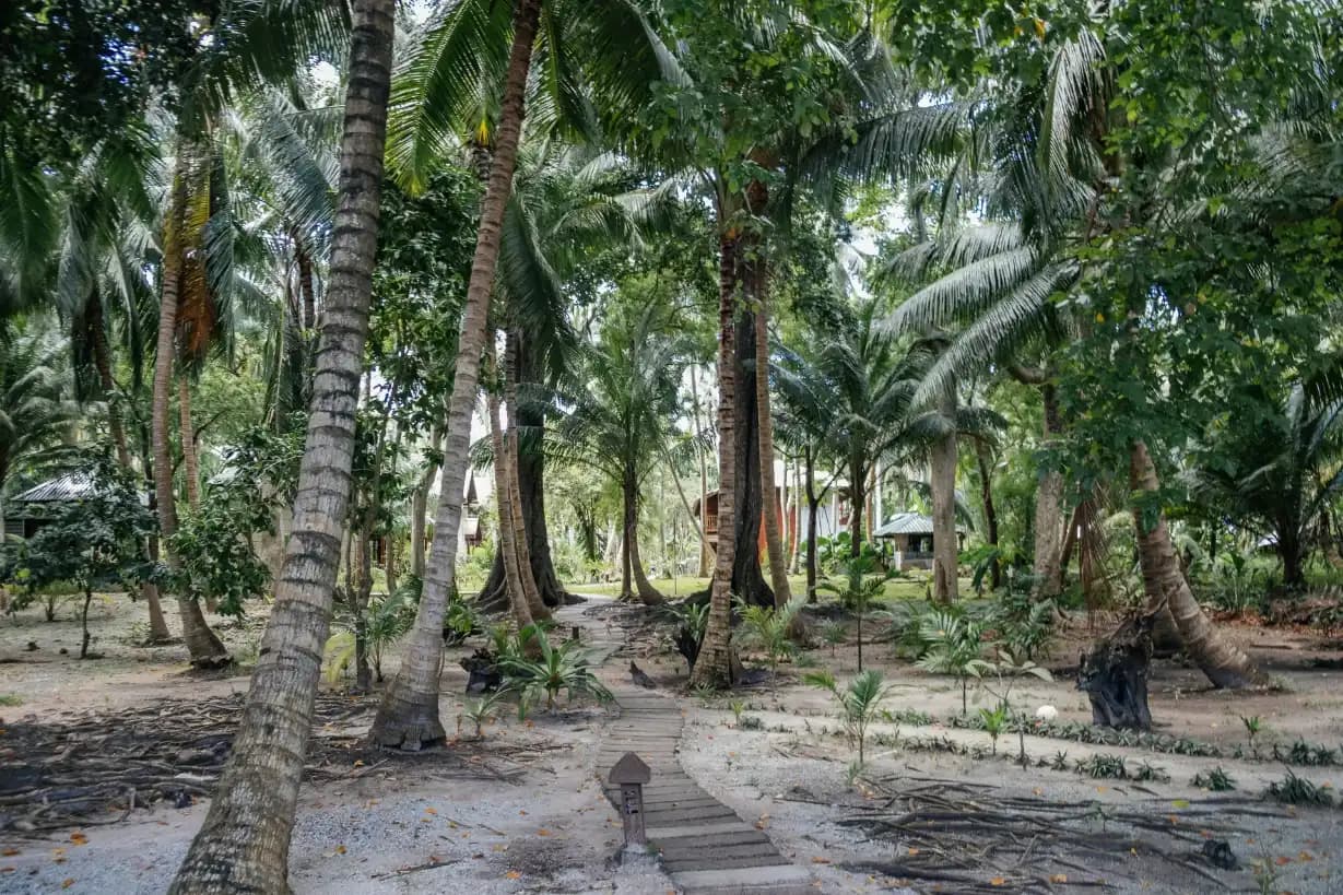 Andaman Classic Havelock Neil Island Tour