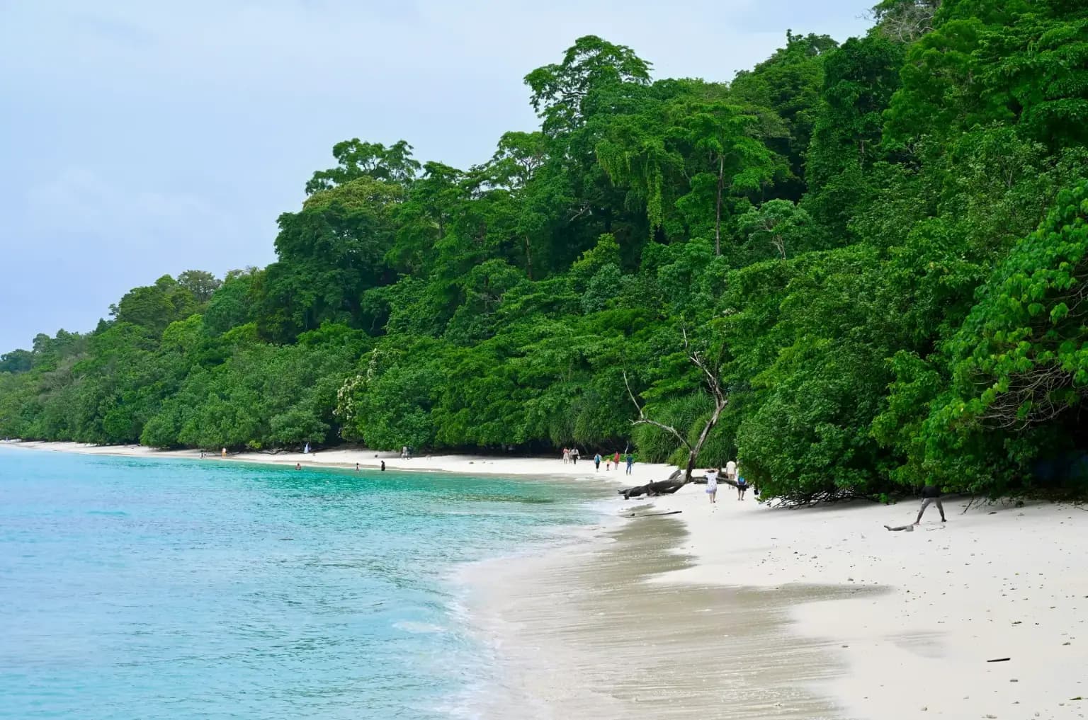 Andaman Baratang Limestone Island Explorer