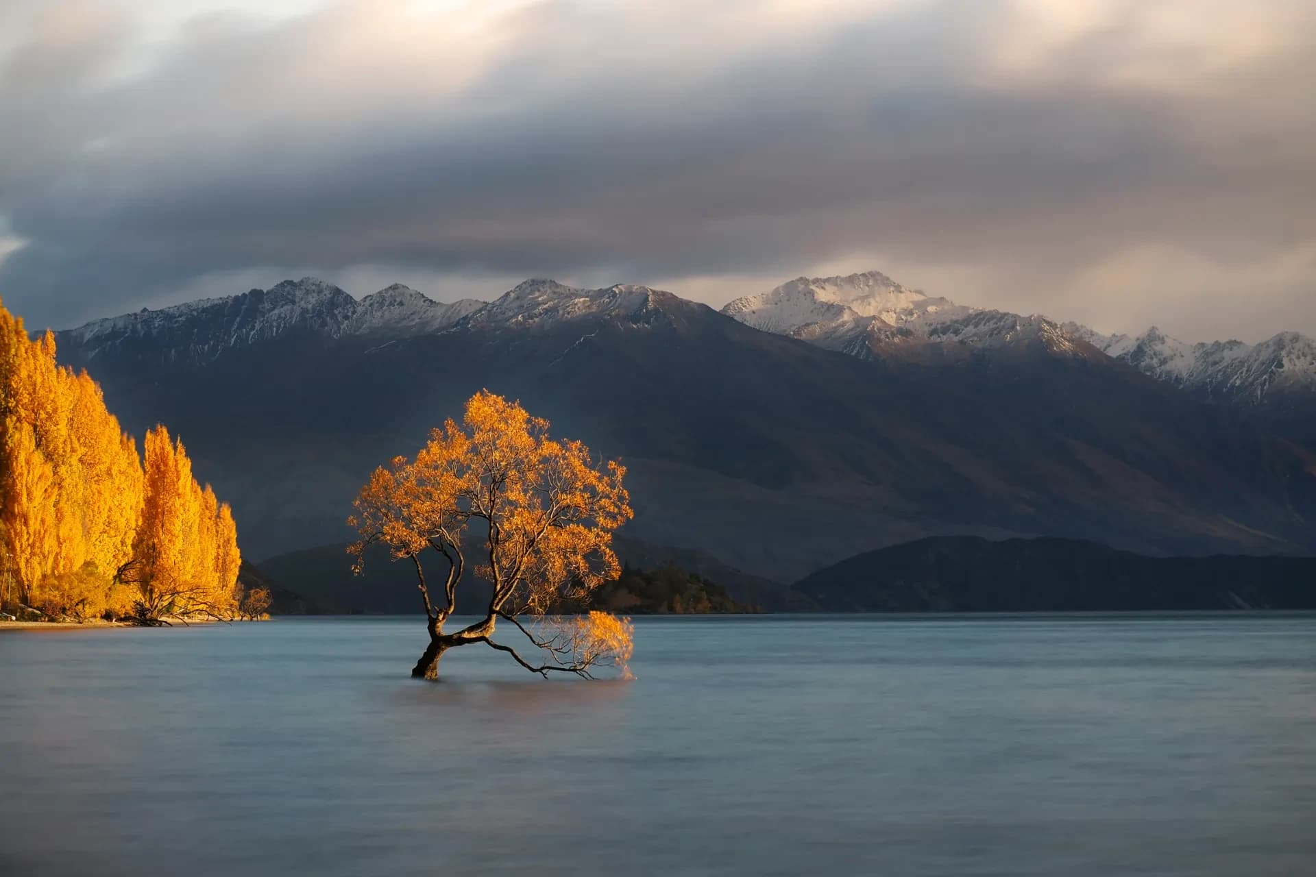 New Zealand Family Tour Package