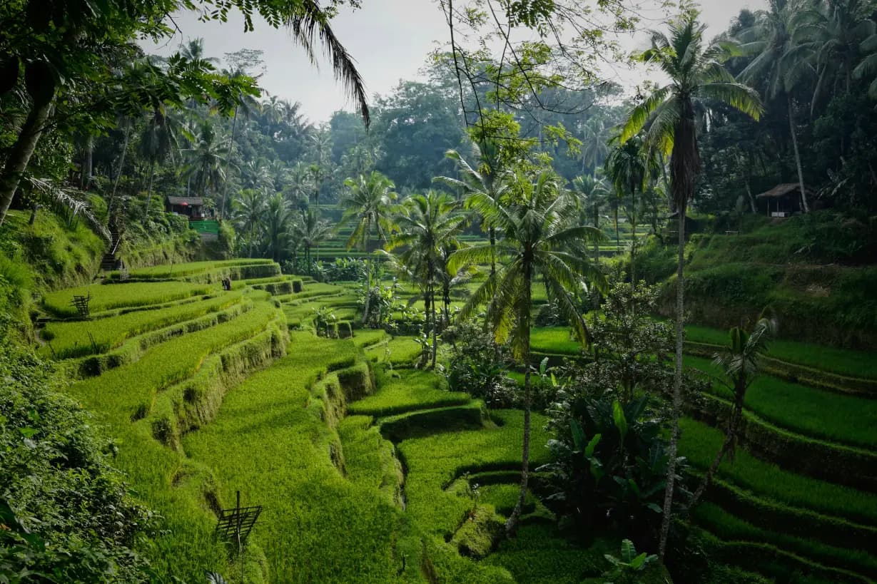Bali and Gili Islands Beach Escape