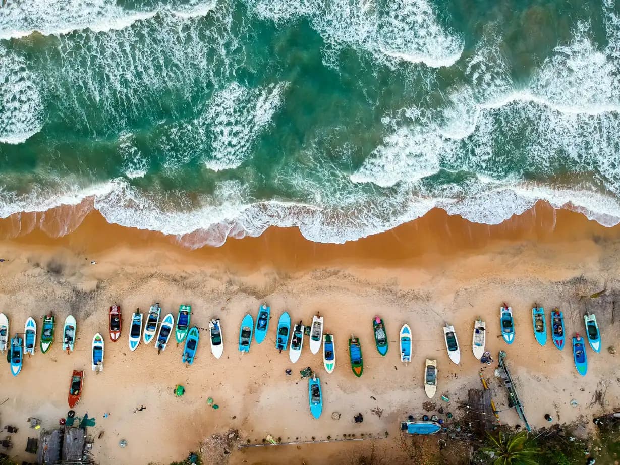 Sri Lanka Highlights Tour: Kandy, Ella & Mirissa