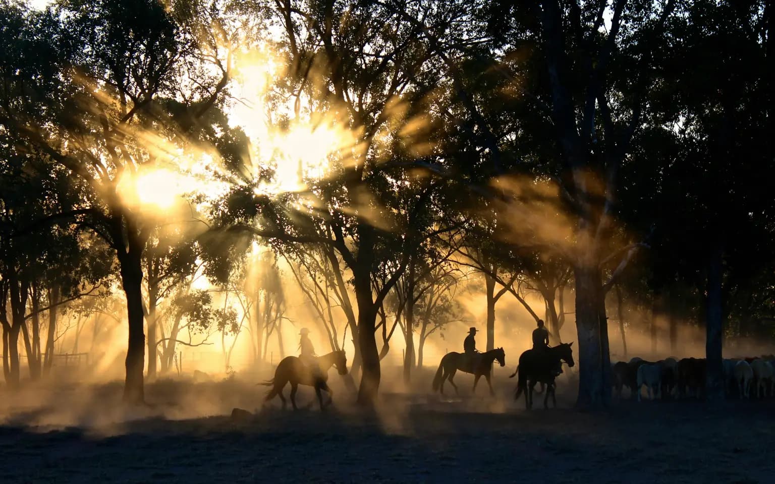 Australia Grand Discovery: Sydney, Uluru, Cairns, Whitsundays & Melbourne