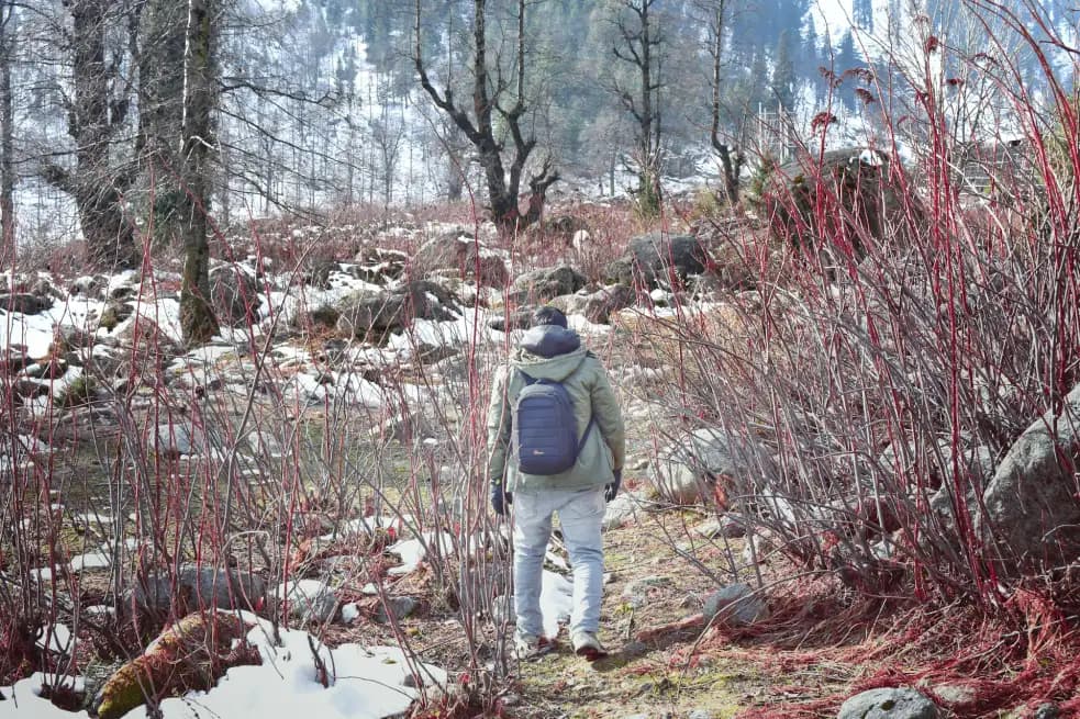 Hadimba at Dawn, Solang Valley by Nine & Vashisht at Dusk: A 3-Day Manali Express City Tour of Every Essential Landmark