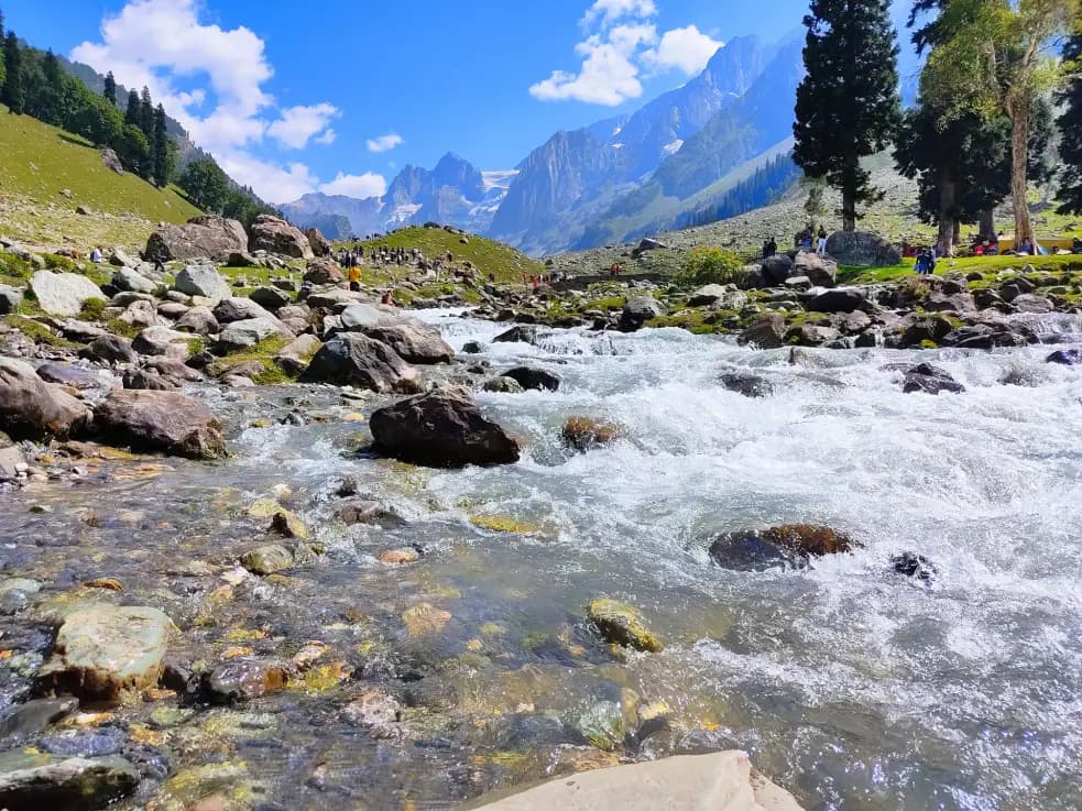 From Sonamarg's Glacier Meadow at Dawn to Yusmarg's Untouched Pine Forest: A 9-Day Premium Kashmir Tour Across All Five Valley Zones