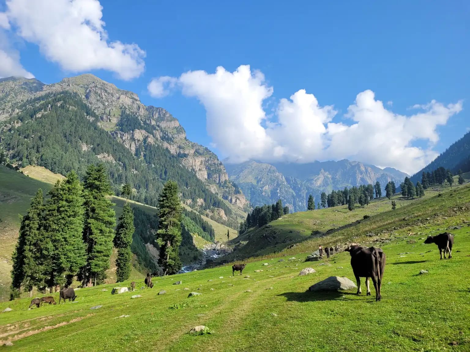 Tarsar and Marsar at 3,800 Metres and the Kolahoi Glacier at Shepherd Camp: A 9-Day Kashmir Alpine Trekking Adventure from Sonamarg to Pahalgam