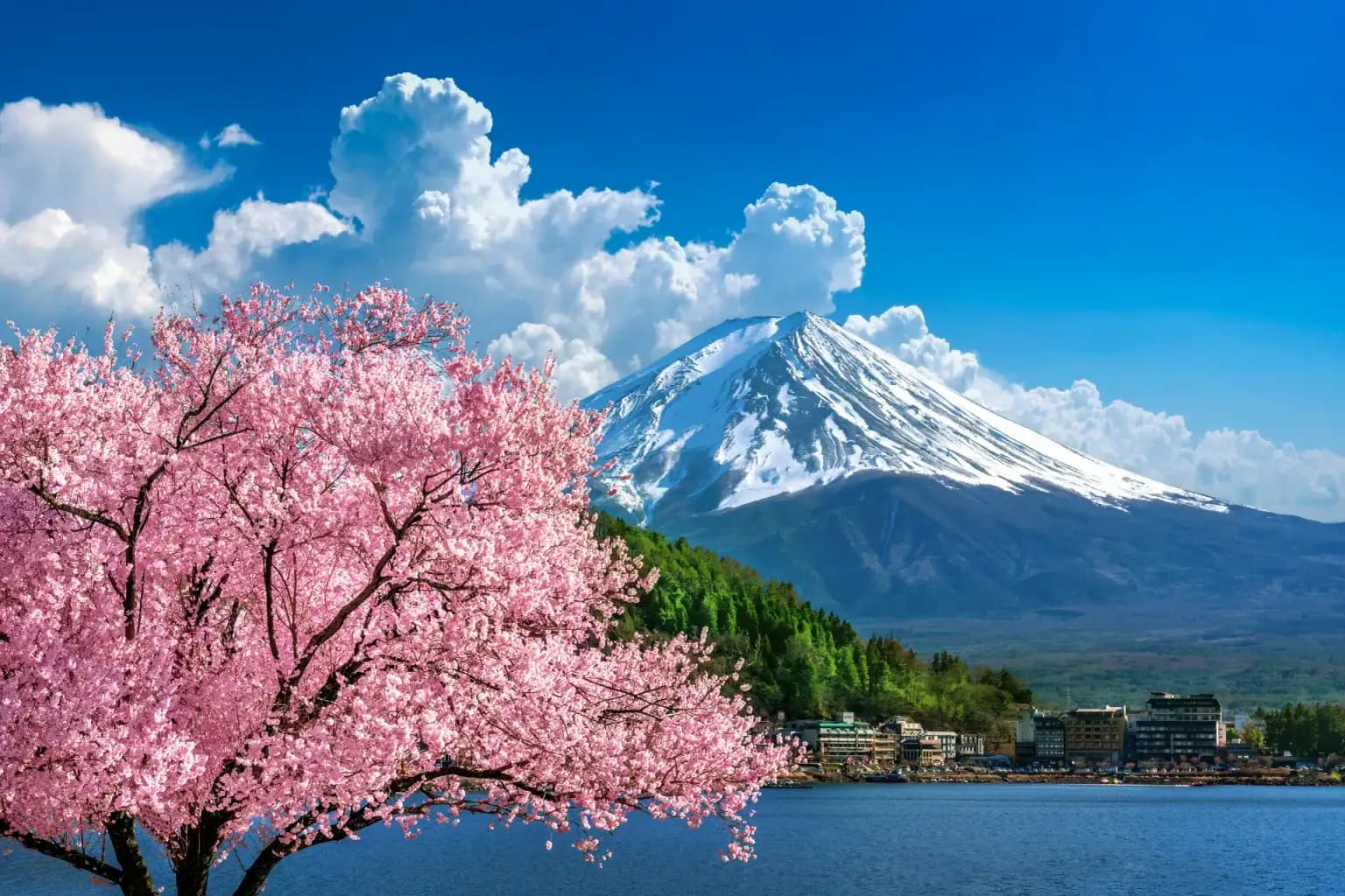 Japan Golden Route Explorer Tour Package