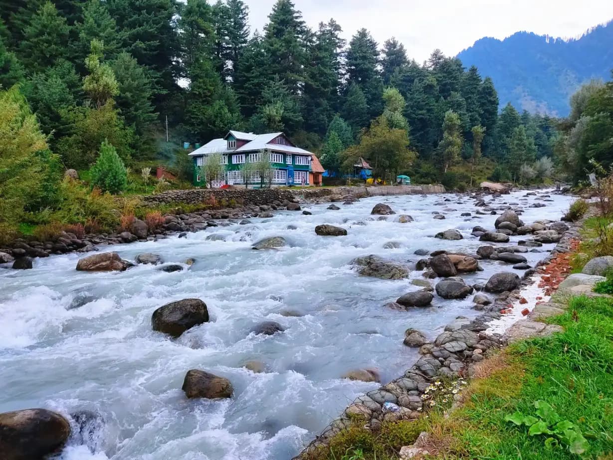 Grand Palace Dining Room on Dal Lake and the Lidder River View at Pahalgam: A 9-Day Luxury Kashmir Holiday Across Heritage Houseboat and Alpine Valley Resort
