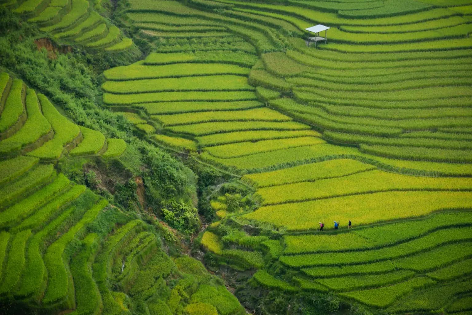 Vietnam Discovery Tour Package