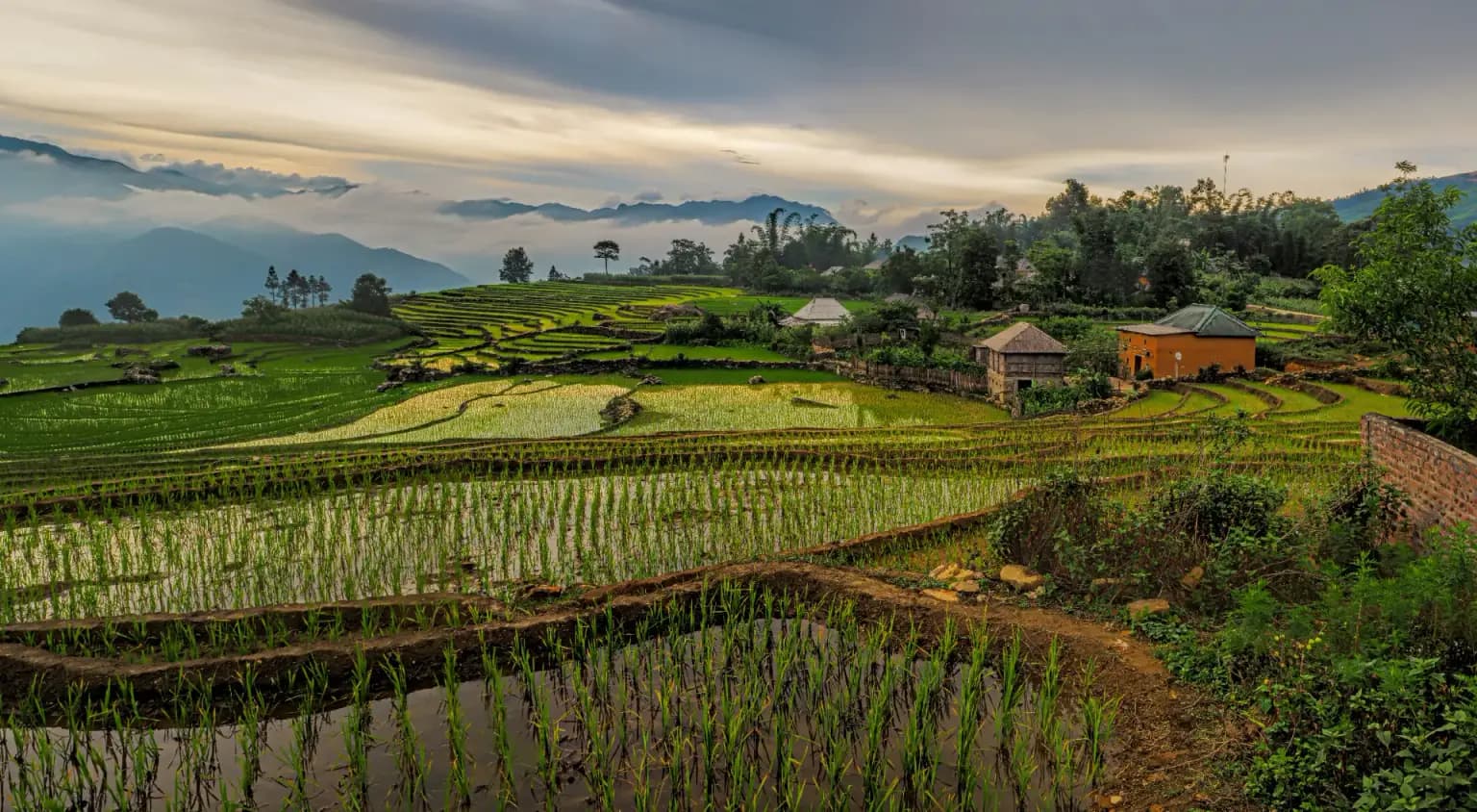 Vietnam Luxury Heritage & Island Retreat