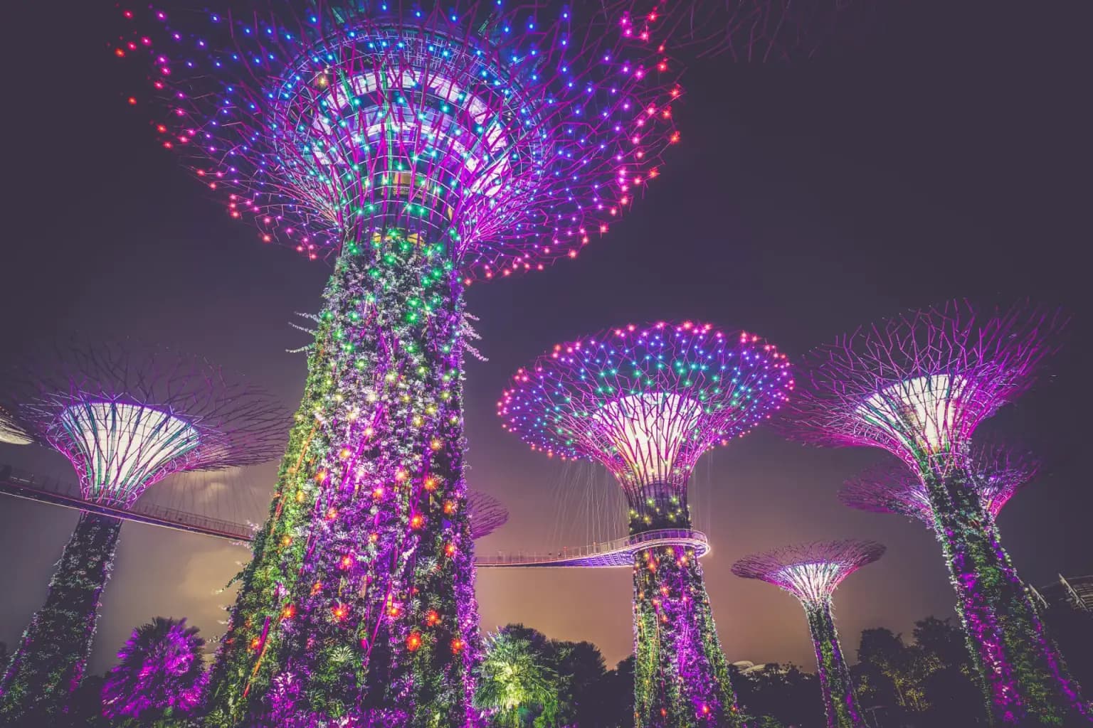 Singapore Nature Discovery Package