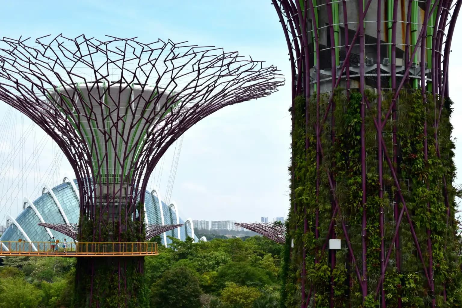 Singapore Nature Adventure Tour Package