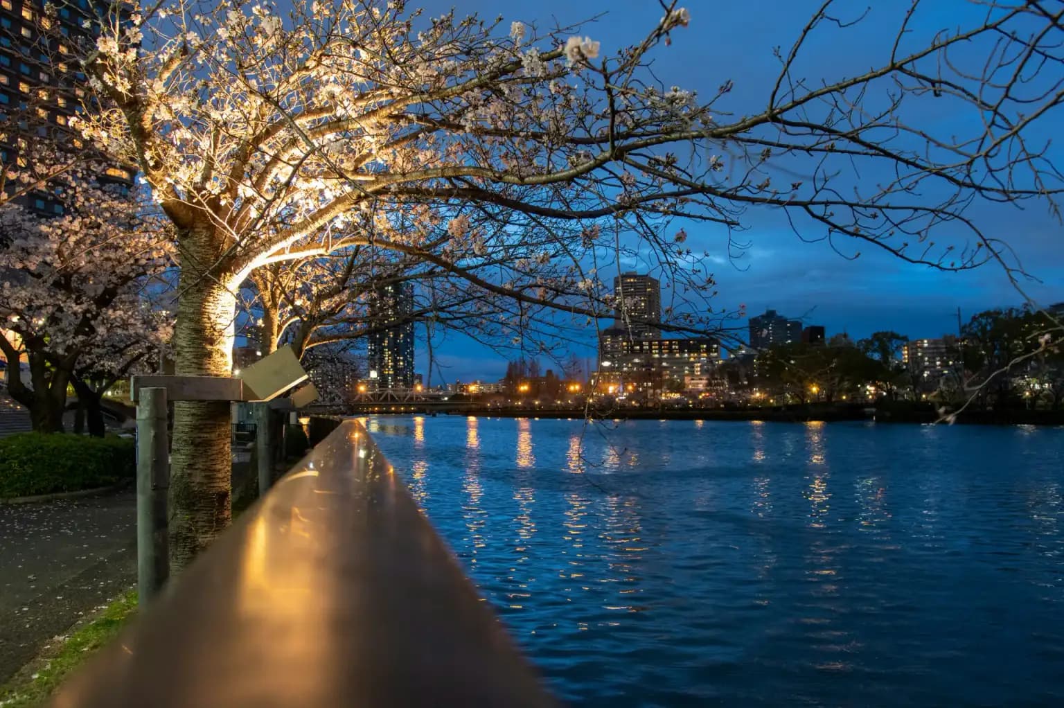 Japan Golden Route Tour Package