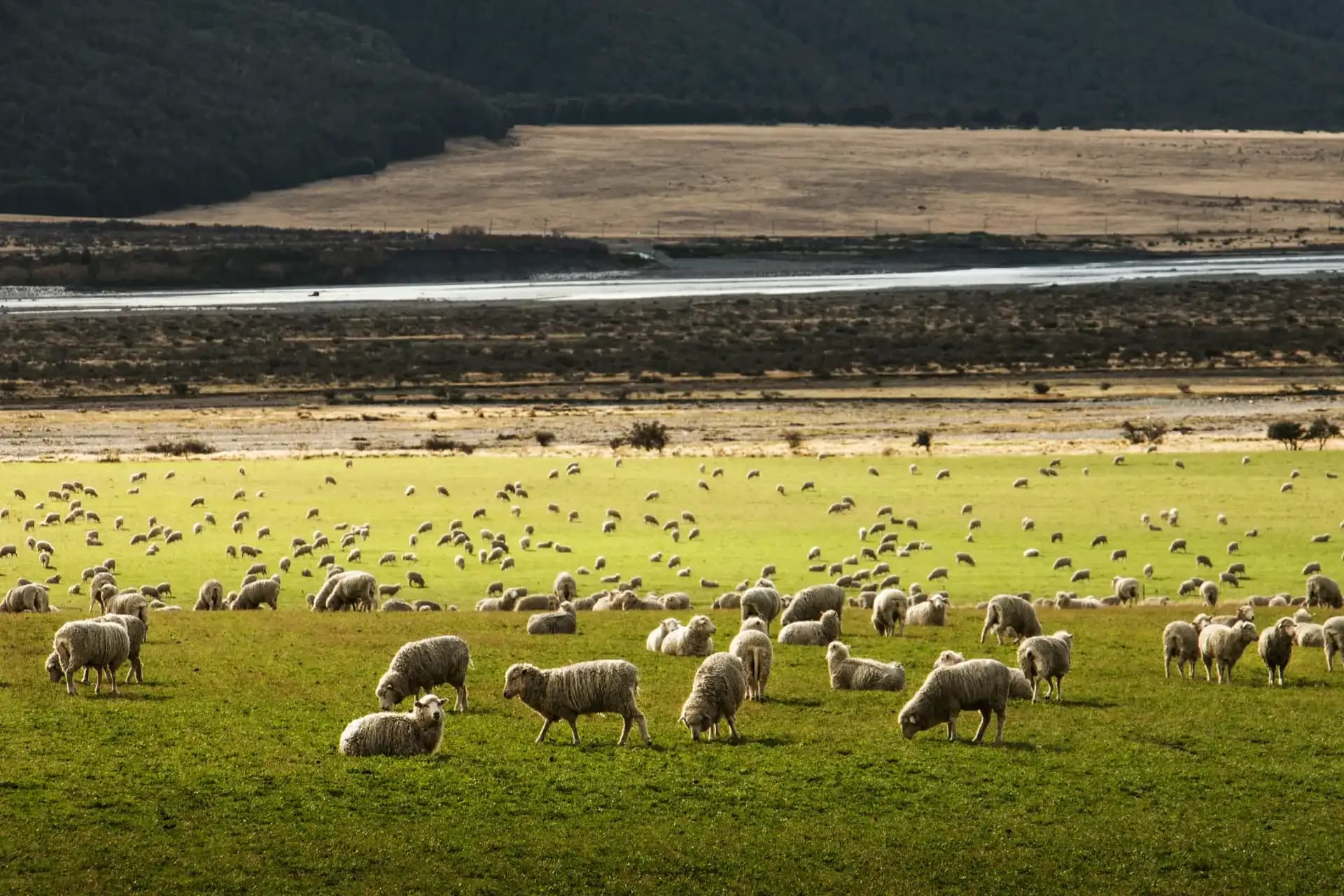 Classic New Zealand Family Tour Package