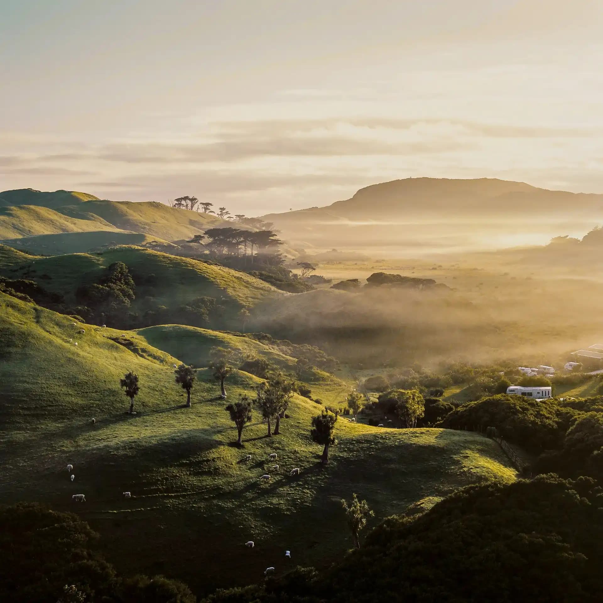 New Zealand Romantic Escape Tour Package