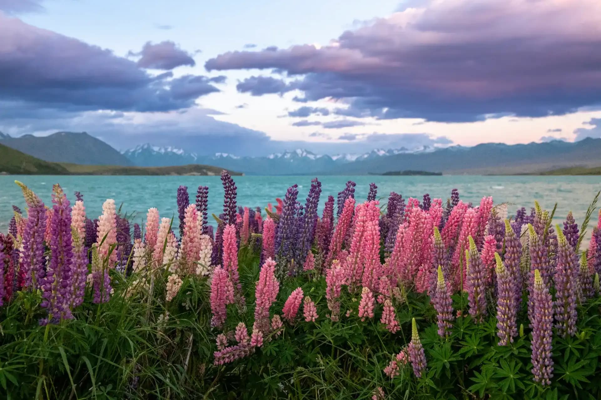 New Zealand Campervan Adventure Tour Package