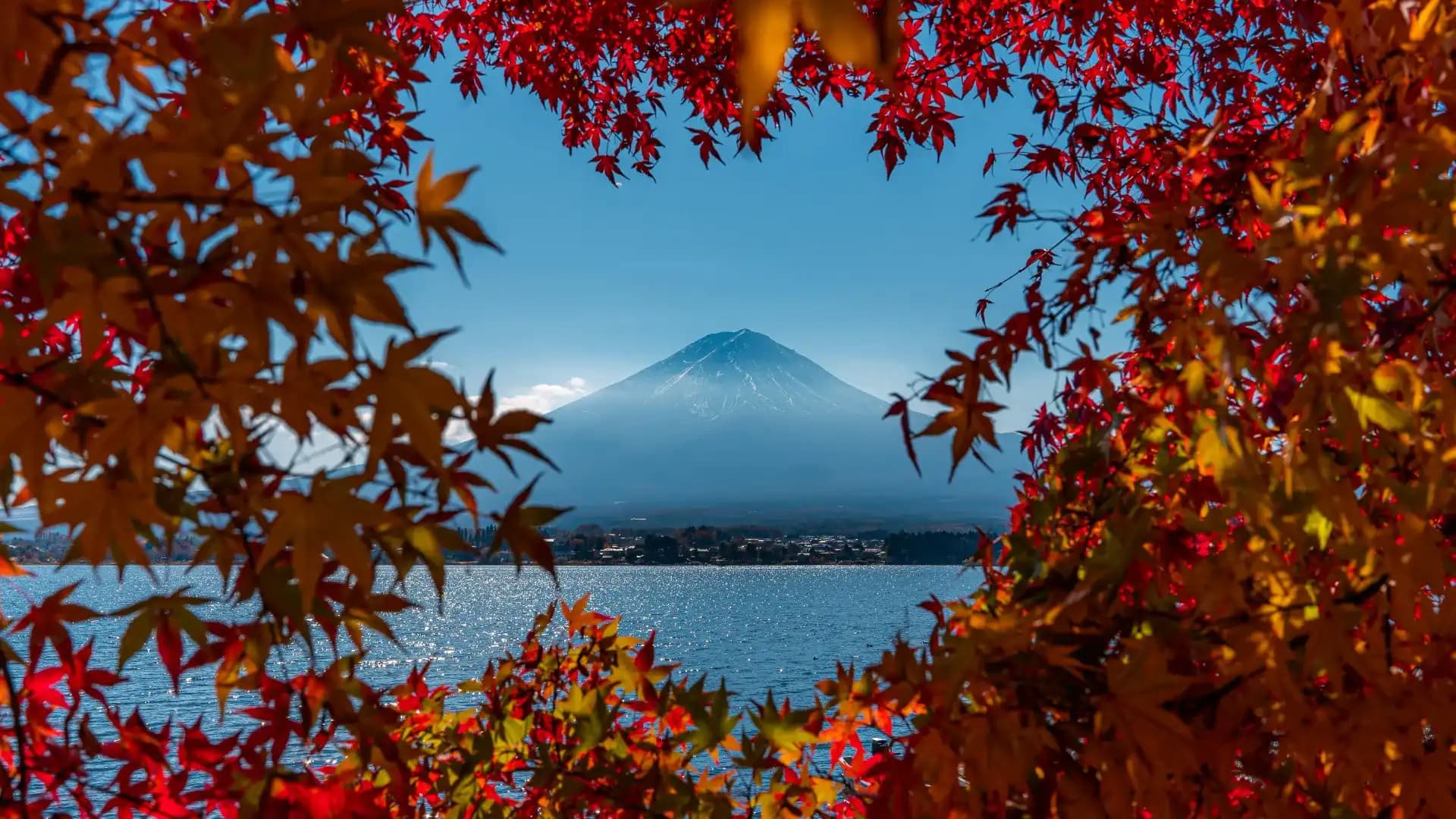 Japan Tour Package with Flights, Hotels & Sightseeing