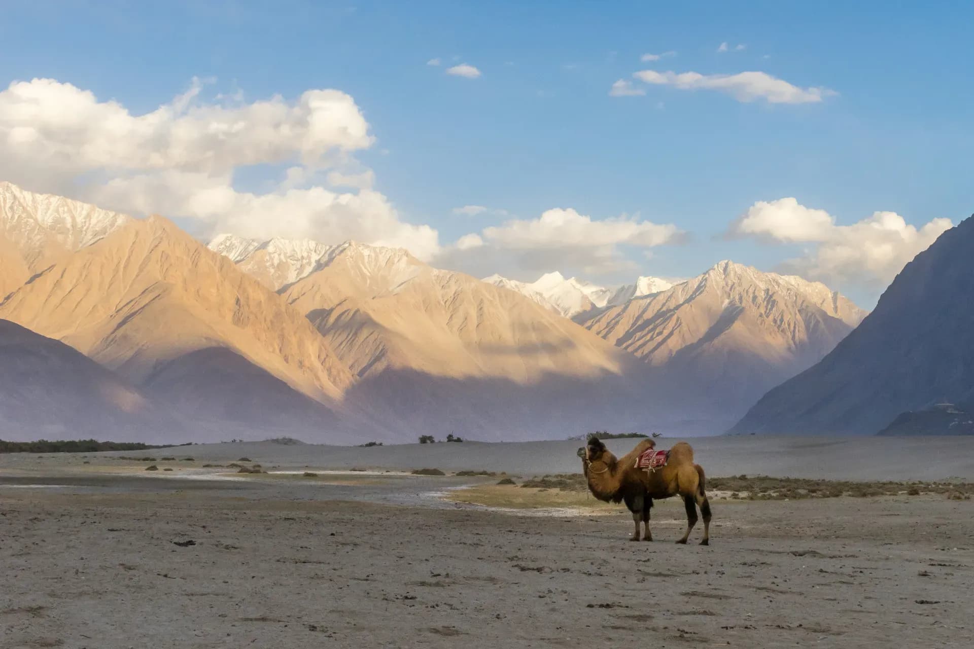 Ladakh Hanle and Umling La Expedition
