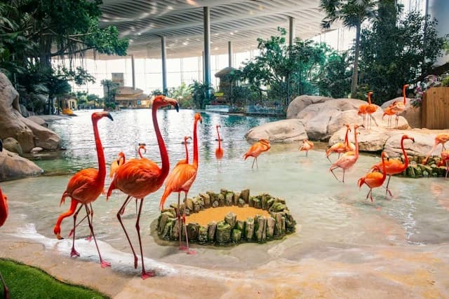 SeaWorld Abu Dhabi