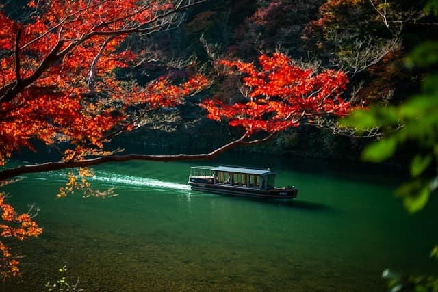 Japan Honeymoon Tour