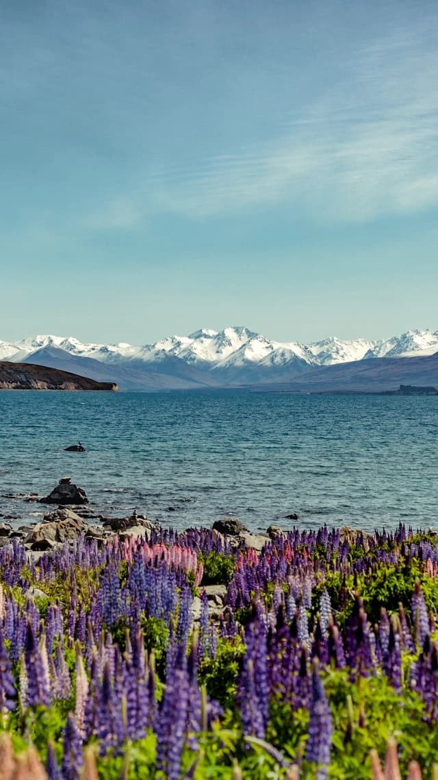 Lake Tekapo new zealand