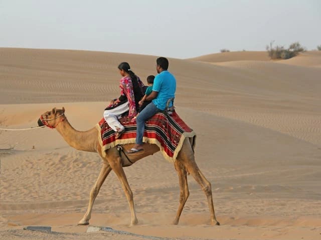 A family on a camel at a morning safari,
