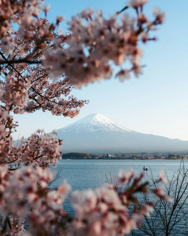 Lake Kawaguchiko Mount Fuji spring