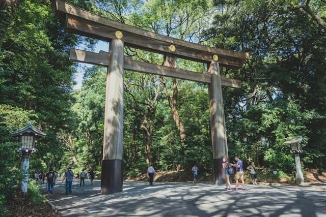 Tokyo Meiji Jingu forest