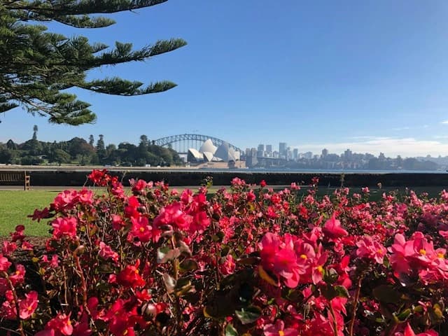 Royal Botanic Garden Sydney harbour
